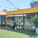 포스앤네이처 펫살롱 이미지