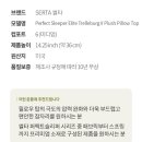 퍼펙트모션