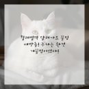 청산치과의원 이미지