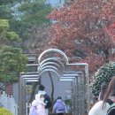 강일병원 | 위경련인 줄 알았는데, 담석증이었다니... 김해 강일병원 담낭 복강경 절제술 입원과 수술 후기