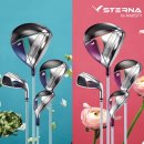 손에 잡히는세계사A | 동탄 골프샵에서 찾았다 마제스티 스터나 A 강도 여성 풀세트 시타 후 바로 구매한 이유