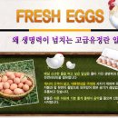 행복한신선농장 이미지