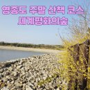 인천공항고등학교 앞 | 영종도세계평화의숲 주차 정보 포함 / 주말 가벼운 산책 코스 추천