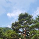 명산모텔 이미지