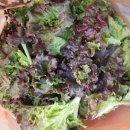 화원농장3 이미지