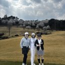 보문2 | 벚꽃이 흐드러진 경주 골프여행 – 부부동반 1박2일 경주 CC &amp; 보문 CC 라운딩 후기