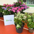 영농조합법인정원농장 이미지