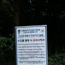 안순네밥집 이미지