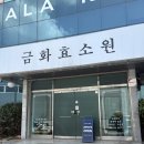 금화 | 창원효소찜질 아토피 잘보는 금화효소원 후기
