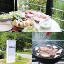 담양버치 이미지