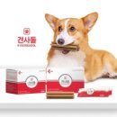 다온바이오 이미지