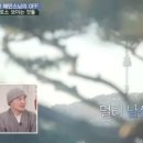 혜민타워