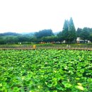 서동공원 이미지