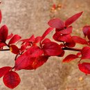 선학산전망대 이미지