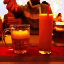 Cat garden 이미지