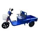 평온주유소 | 농업용 전동삼륜차 후기 달라진 시골 풍경과 나의 일상