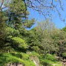 자연의 꿈 이미지