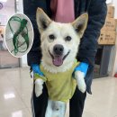 호죽2리 이미지