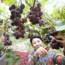 김재훈농장 이미지