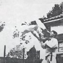 이루 태권도 이미지