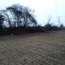 미림목장 이미지