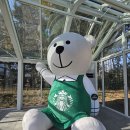 스타벅스기장임랑점 이미지