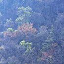 현동보건지소 이미지