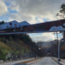 서운산 자연휴양림 자동차야영장 이미지