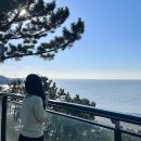 가리678 | 204가조쿠 인천여행*.☆⸜(⑉˙ᗜ˙⑉)⸝♡.*