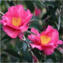 순희농장 이미지