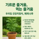 도현농장 | 미리캔버스실습(3) : 포스터 제작