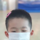 국술합기도무림관 이미지