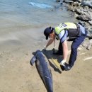 신지면사무소 이미지