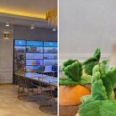 도그마루 강아지고양이 일산점 이미지