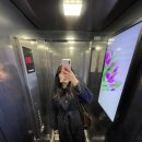 재미미호프 | [나 혼자 40일 유럽여행] 17,18일차🇩🇪 - 독일 인종차별 누가 없대