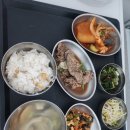 의료법인테라의료재단 테라한방병원 | 교통사고 입원_테라한방병원