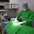 우리덕구 동물병원 이미지