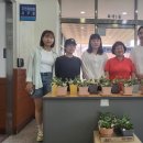 효자1동행정복지센터 이미지