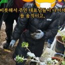 117년만의 폭설이 내리던 날 관악구 난곡동 이미지