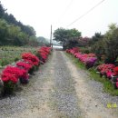 으뜸산부인과의원 이미지