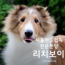 리치켄넬