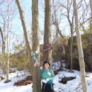 Norvin Green State Forest (03/11/14) 이미지
