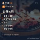 성원농장 티스토리