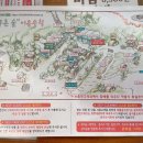 늘푸른숲 이미지