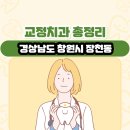 공진철치과의원 | 경상남도 창원시 장천동 교정치과 총정리