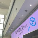 2호선 센텀시티역 1번출구 | 2026 케이펫페어 부산 다녀온 후기| 고양이 집사 쇼핑리스트