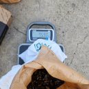 한창수지산업 | 경북 천북산업단지 초경합금 133kg 매입, 시세 3분의 1 빠진 지금도 꾸준히 거래하는 이유