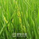 김종옥농장 이미지