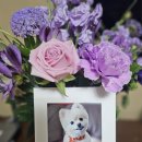 포포즈 반려동물 장례식장 경기광주점 | 반려동물 장례 후기｜포포즈 경기광주점 이용 후 솔직히 아쉬웠던 점