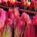 계양경기장 보조경기장 이미지